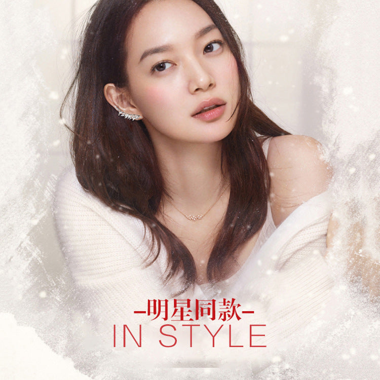 2025 Internet celebrity trinkets Korean version 925 silver needle fashion temperament sweet simple earrings wings earrings earbone clip