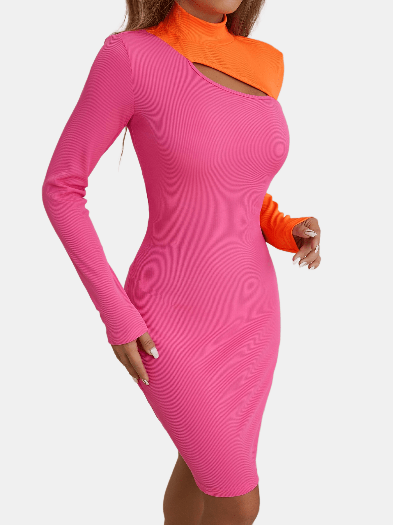 Sixsr Sexy Color Block Turtle Neck Dress, Sexy Skinny Stretchy Long Sleeve Dress, Women's Clothing
