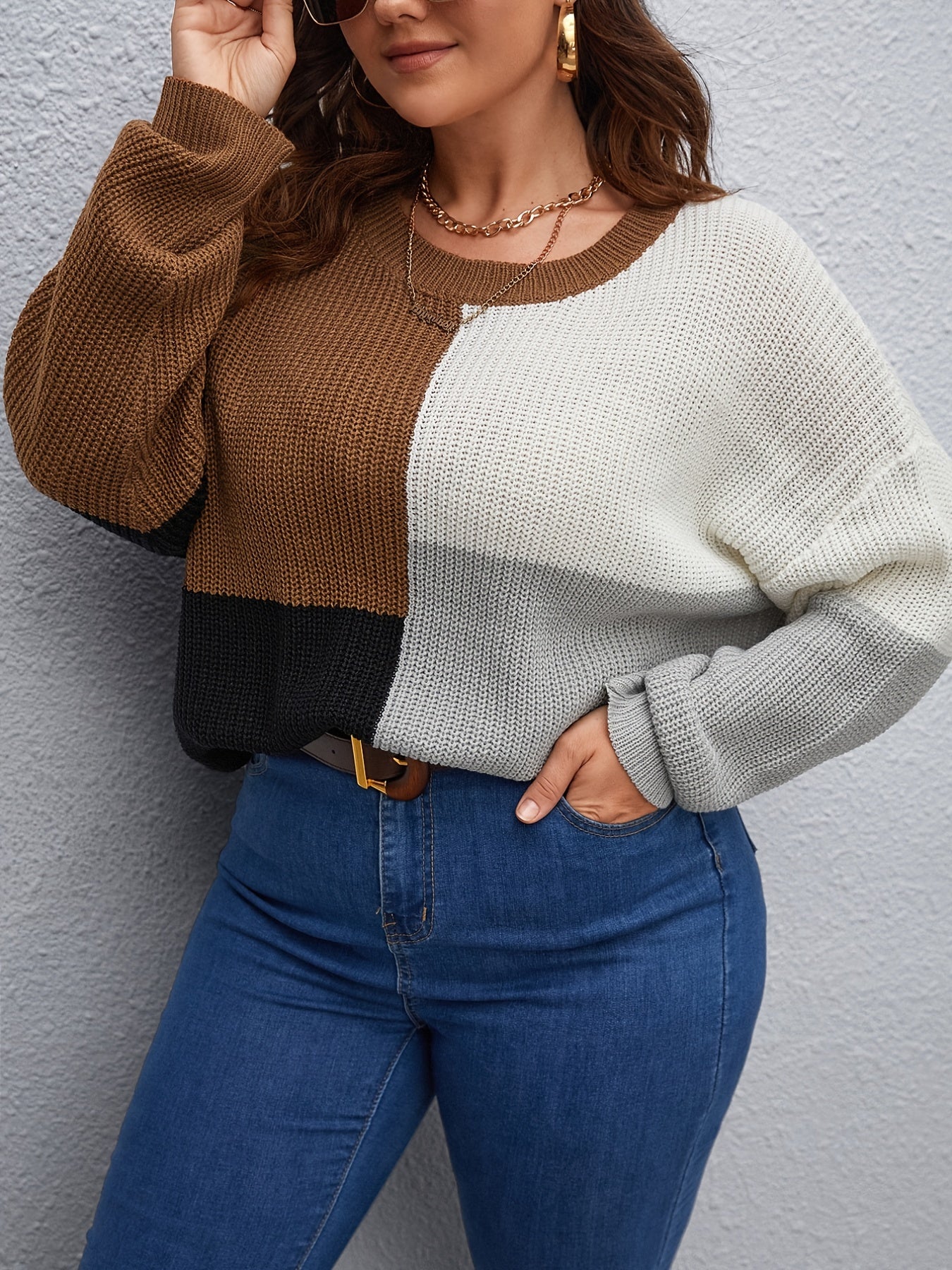 Sixsr Plus Size Colorblock Sweater, Women's Plus Slight Stretch Round Neck Casual Sweater