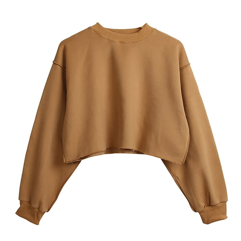 Sixsr Thick Cotton Oversized Women Sweatshirt Hoodies Casual Loose Long Sleeve Harajuku Streetwear Crop Pullover Plus Size Ropa Mujer