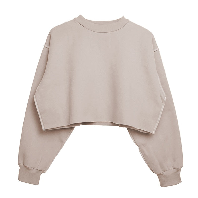 Sixsr Thick Cotton Oversized Women Sweatshirt Hoodies Casual Loose Long Sleeve Harajuku Streetwear Crop Pullover Plus Size Ropa Mujer
