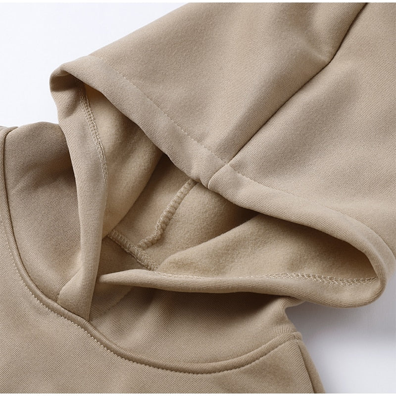 Fashion Casual Fleece Tracksuits Women Solid Warm 2 Piece Set Loose Hoodies And Sweatpants Suit Autumn Winter Sportswear Outfits