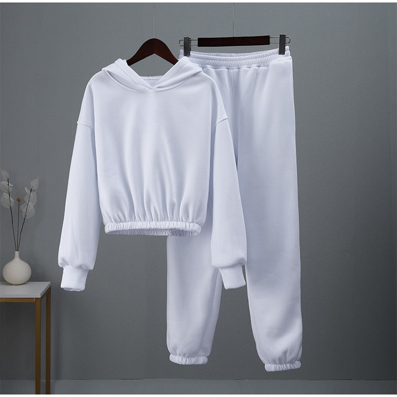 Fashion Casual Fleece Tracksuits Women Solid Warm 2 Piece Set Loose Hoodies And Sweatpants Suit Autumn Winter Sportswear Outfits