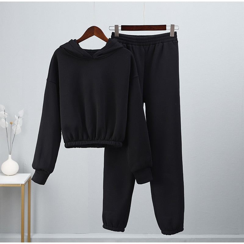 Fashion Casual Fleece Tracksuits Women Solid Warm 2 Piece Set Loose Hoodies And Sweatpants Suit Autumn Winter Sportswear Outfits