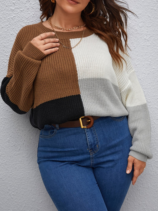 Sixsr Plus Size Colorblock Sweater, Women's Plus Slight Stretch Round Neck Casual Sweater