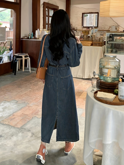 Sixsr Blue Long Sleeves Denim Dress, Retro Style Single Breasted Button Split Lapel Denim Dress, Women's Denim Clothing