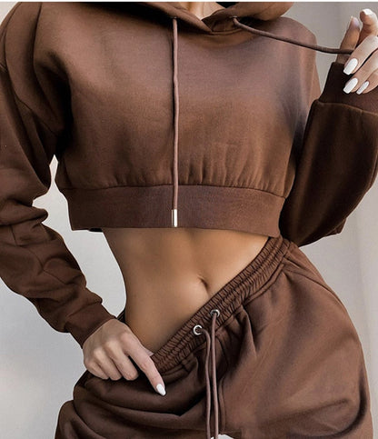 Sixsr Tracksuit Women Two Piece Set Spring Clothes Solid Hooded Fleece Sweatshirt Crop Top and Pants Sport Jogging Suit Female Outfits